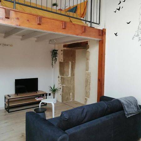 Le Studio D'Emma Appartement Romans-sur-Isère Buitenkant foto