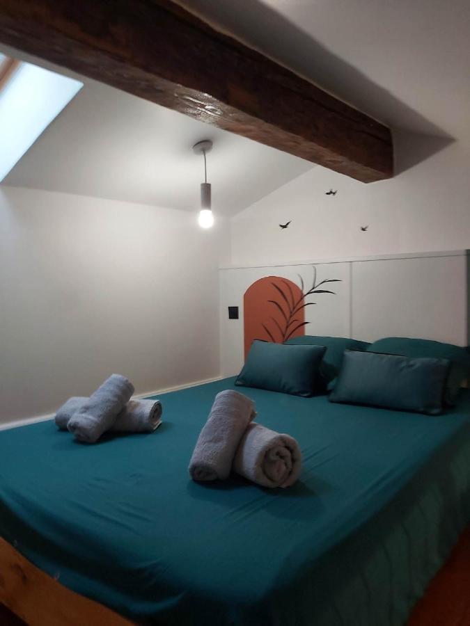 Le Studio D'Emma Appartement Romans-sur-Isère Buitenkant foto
