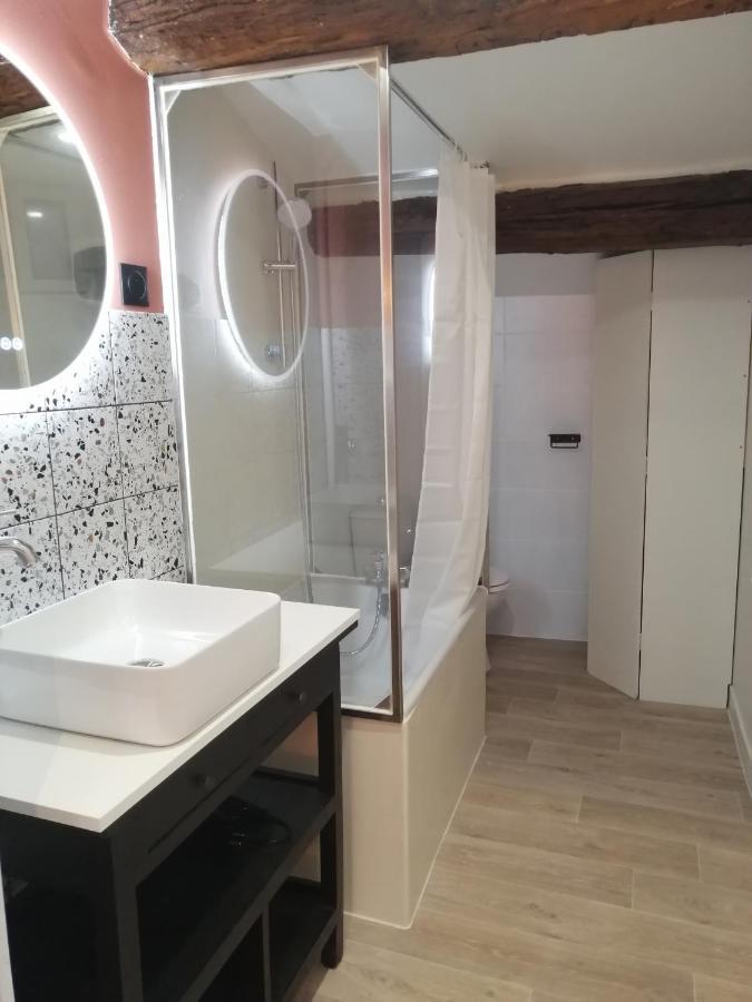 Le Studio D'Emma Appartement Romans-sur-Isère Buitenkant foto